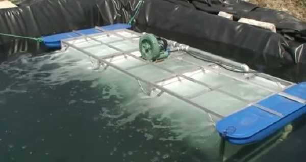 Máy thổi khí con sò Saverti dùng trong bể bơi được không? 