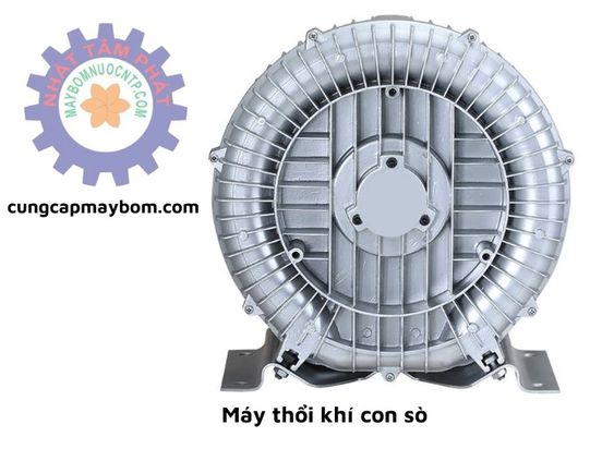 Top 3 Máy Thổi Khí Con Sò Giá Rẻ Hiện nay