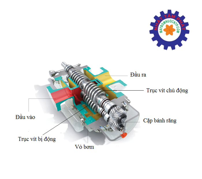 bơm trục vít có phải là lựa chọn phù hợp với người tiêu dùng