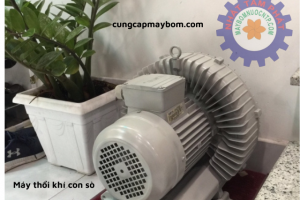 Các loại máy thổi khí con sò 500W