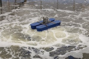 Máy thổi khí nuôi tôm trong ngành thủy sản