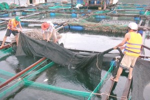 Những thiết bị cần thiết để nuôi trồng thủy sản